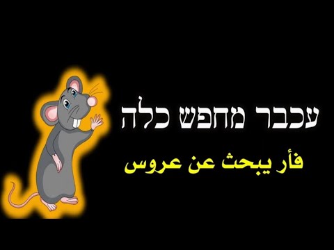 قصة عبرية للمبتدئين مترجمة للعربية الجزء الأول