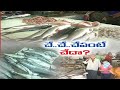 AP grabs first position in fish production in India
