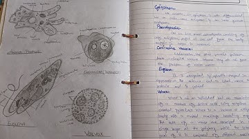 Solved Biology Practical file of 11 || Important Practicals Of Biology (part 1)