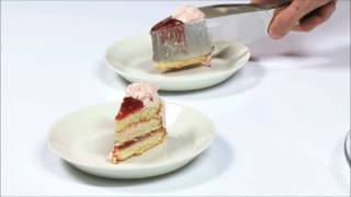 Cakeserver - Magisso Libelleshop