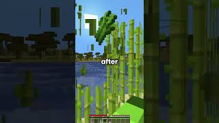 #dayone #minecraft #mcserver #mcyt #gaming #hypixel #network #dreamsmp
