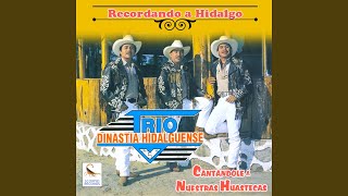 Video thumbnail of "Trio Dinastia Hidalguense - El Carretero"