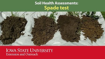 Soil Health Assessment Series: Aggregation - Spade Test