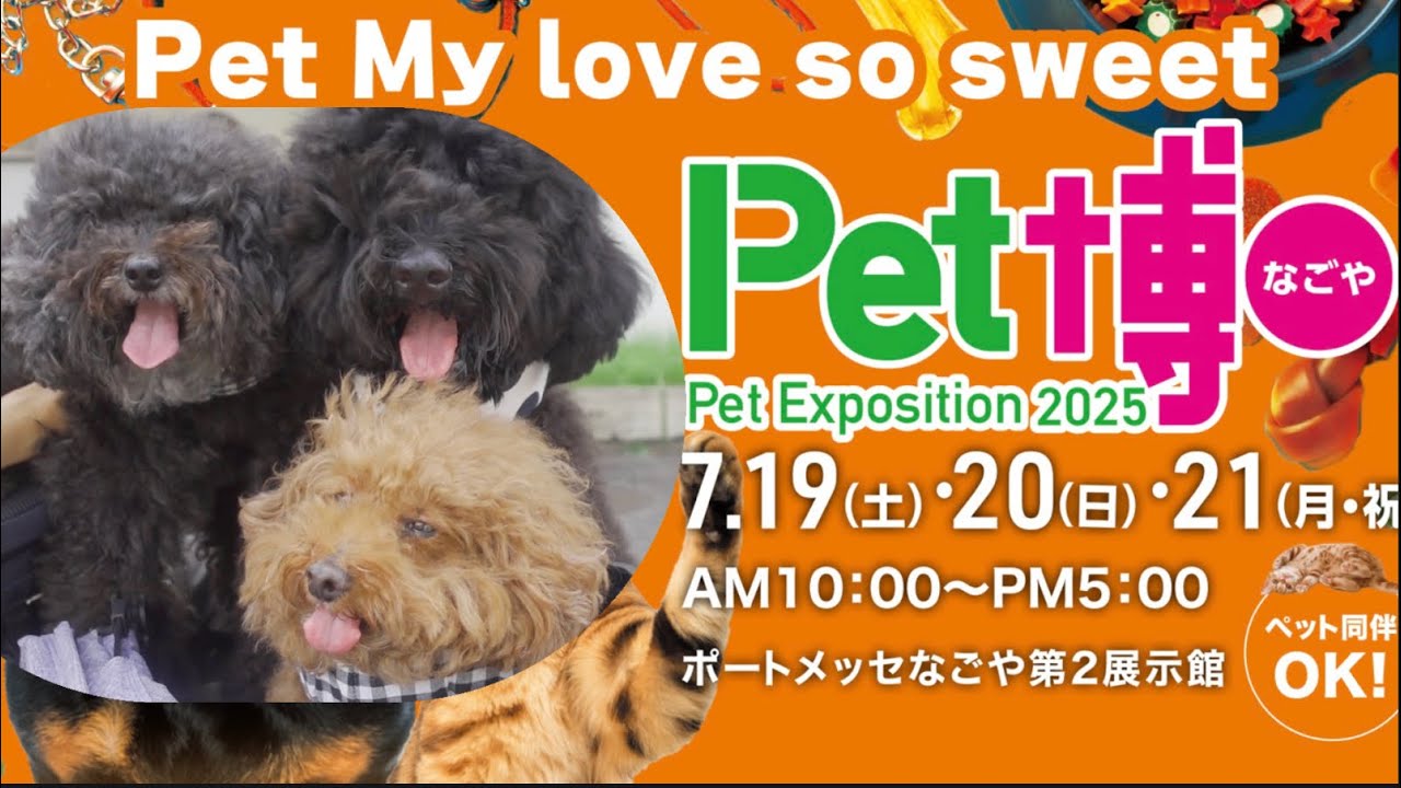 【ペット博なごや】3兄弟で行ったらワチャすぎたwww