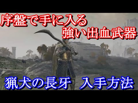 エルデンリング】序盤に取れる強力な大曲剣・猟犬の長牙の入手方法