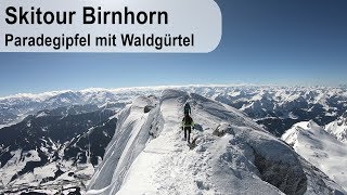 Skitour Birnhorn - Paradegipfel Mit Waldgürtel