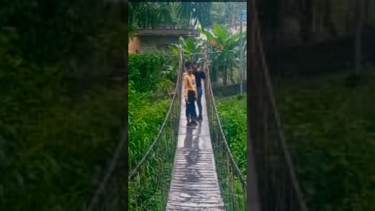 Puente Arístides Rojas estado Guárico.