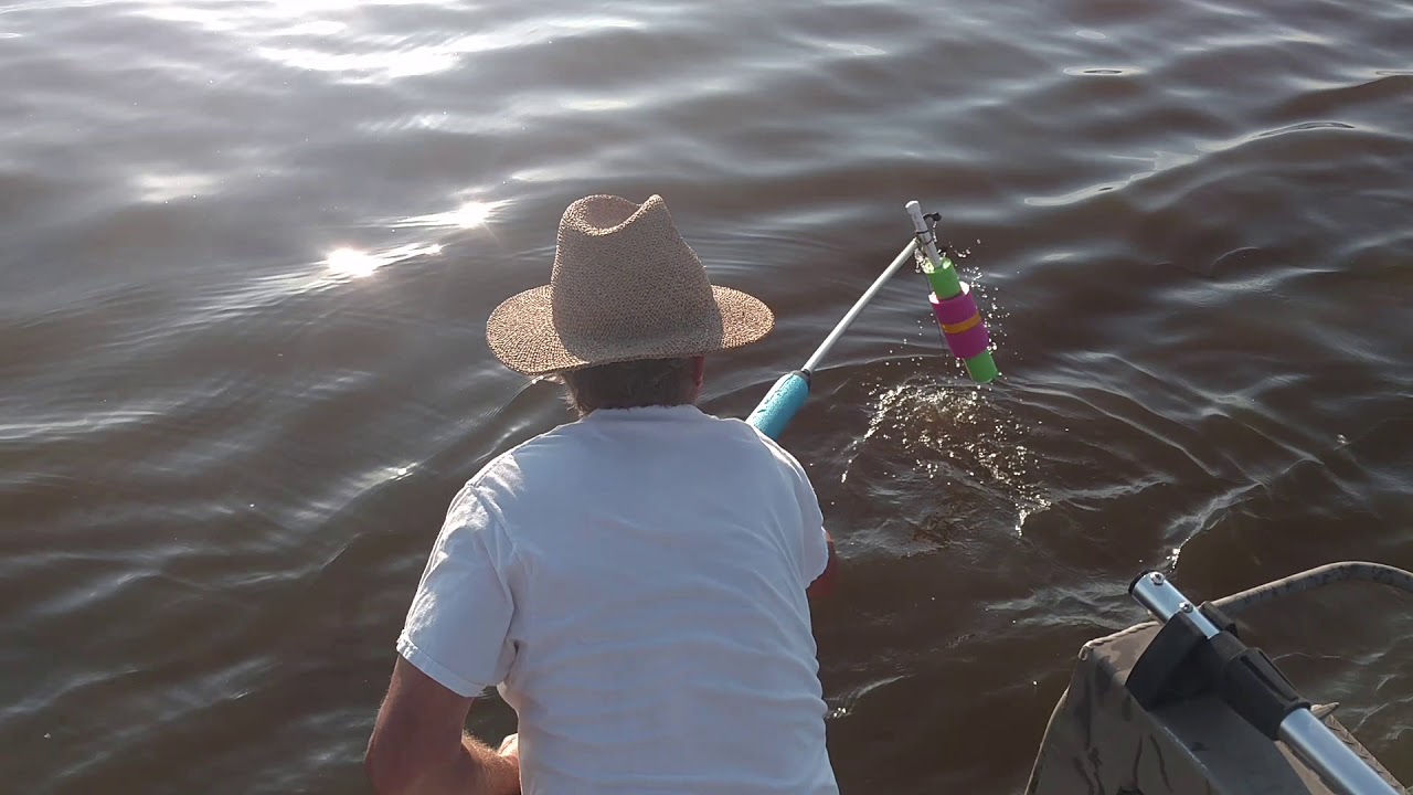Macko Catfish Noodling on Ross Reservoir YouTube