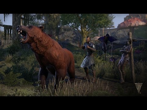 The Elder Scrolls Online: Morrowind – Naryu’s Guide to the Wardens (AUS) - The Elder Scrolls Online: Morrowind – Naryu’s Guide to the Wardens (AUS)