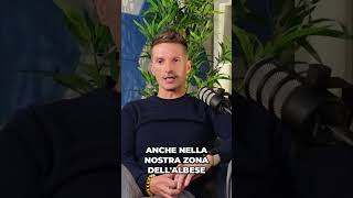 La bolla internet, le web agency che chiudono e una scelta: così nasce un'impresa digitale
