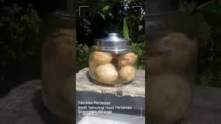 Download Lagu Teknologi Fermentasi \ MP3