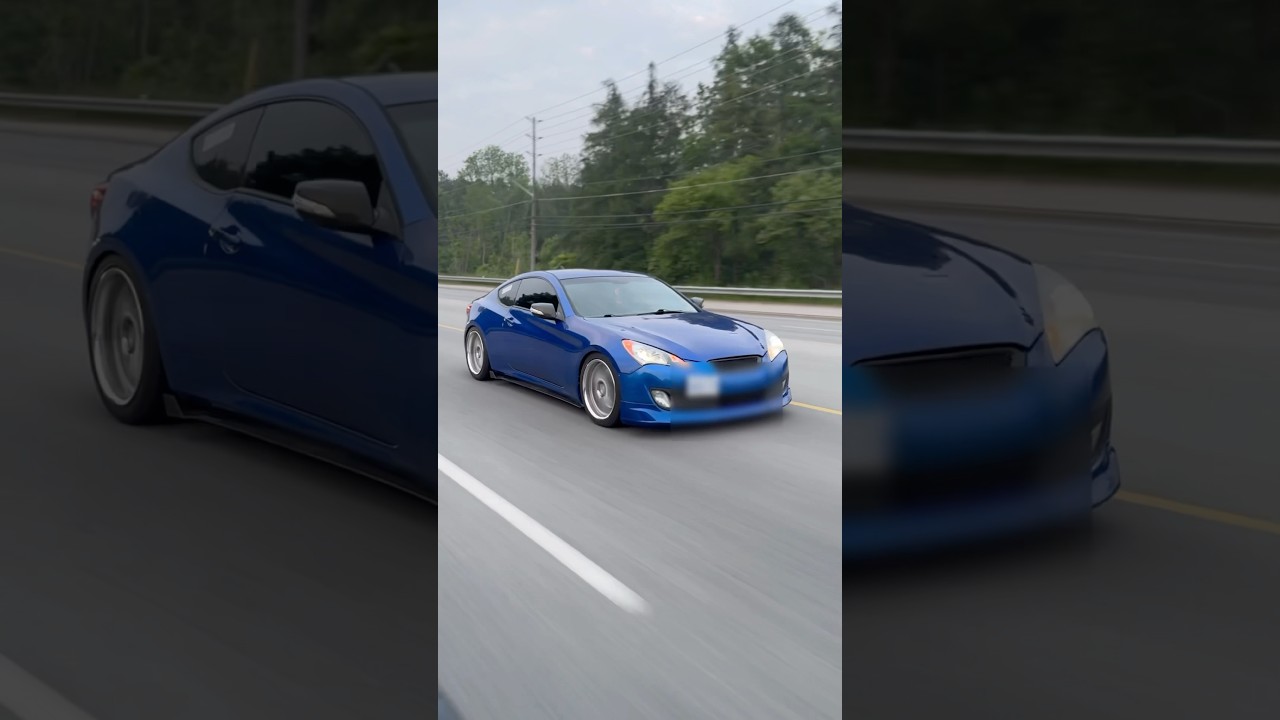 Cruise with me 💙🤍 