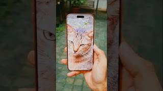 iPhone 17 Pro Max Camera Test 🔥 #shorts