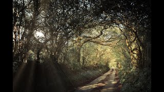 Into My Heart An Air That Kills, By A.e. Housman