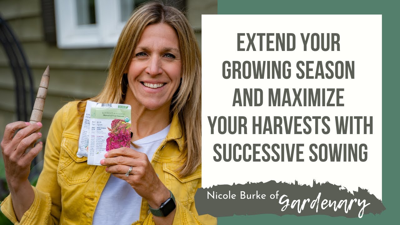Extend Your Growing Season and Maximize Your Harvests with Successive Sowing