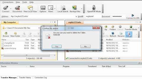 HostMetro - FTP - WsFTP Managing Files