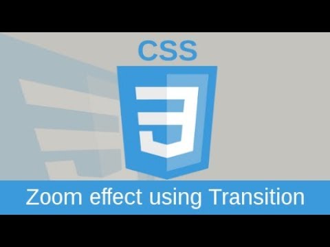 Css Zoom effect Using Transition & Hover