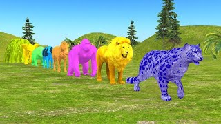 Paint Animals Gorilla Cow Tiger Lion Elephant Fountain Crossing Animal Game