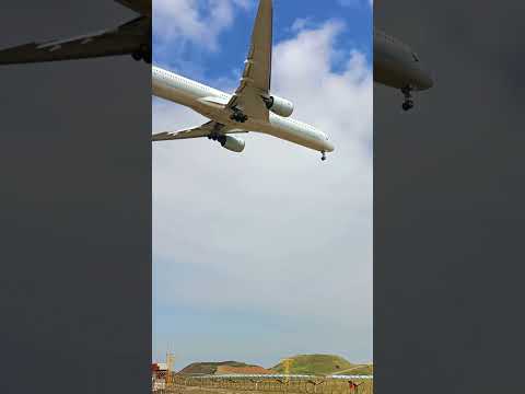 【飛機起降】國泰航空 CX494 Airbus A350-1041 香港(HKG 10:25) - 桃園(TPE 12:20) #20240201 #桃園機場 #北跑道 #05L跑道