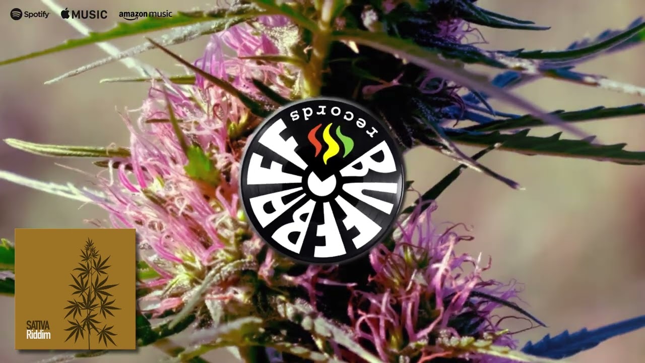 [New Reggae Instrumental 2023] - Sativa Riddim