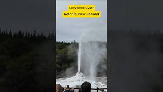 Wai-O-Tapu Thermal Wonderland Tour   Lady Knox Geyser Eruption (Rotorua, NZ)