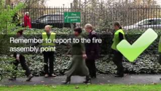 DDS International Promotional Video For Health & Safety