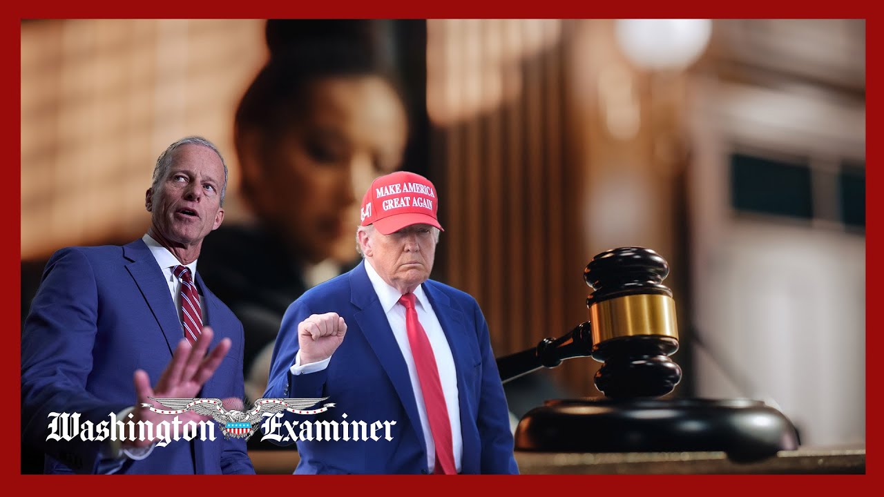 GOP forced to strike policy weakening judges’ powers from Trump tax bill