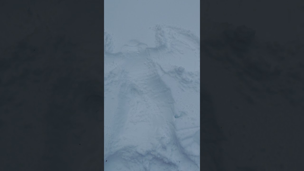 Первый раз вижу такое в парке! 🥲 I see this for the first time in the park!