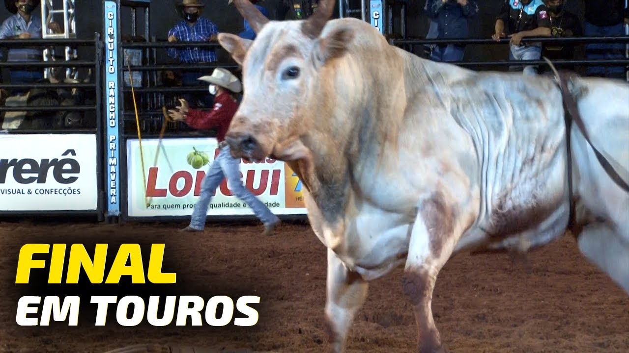 FINAL EM TOUROS - 16ª Etapa do CRP 2020 / Live Burguesa