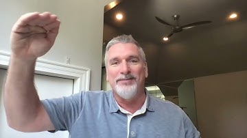 Intro to The Better Mouse Trap Ep1