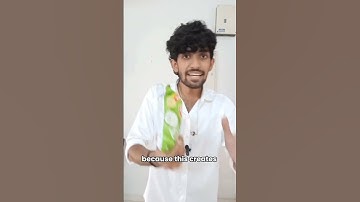 Exposing Shrinkflation: What Brands Don’t Want You to Know!