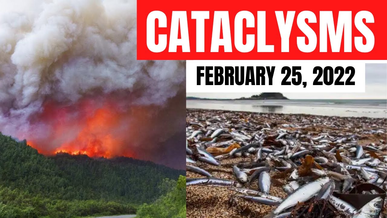 CATACLYSMS: FEBRUARY 25, 2022 /Hurricane in Turkey, Earthquake in Indonesia, Strong wind in Africa