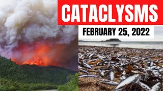 CATACLYSMS: FEBRUARY 25, 2022 /Hurricane in Turkey, Earthquake in Indonesia, Strong wind in Africa