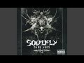 Miniature de la vidéo de la chanson Soulfly V