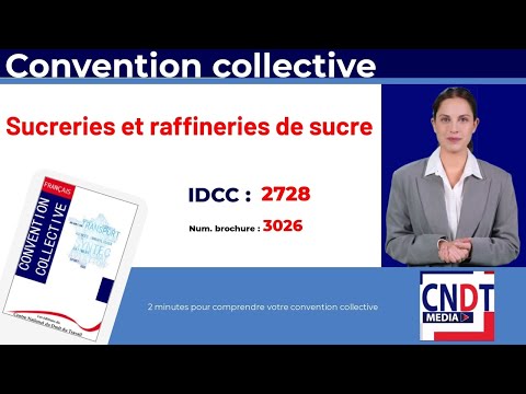 Vidéo : convention collective des sucreries, sucreries-distilleries et raffineries de sucre