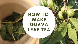 How to Make Guava Leaf Tea
