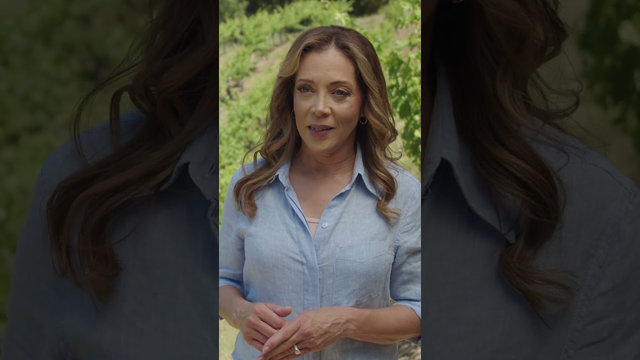 Mount Veeder Magic Vineyards in June #napavalley #vineyard