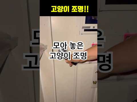 고양이 조명!!ㅎㅎ