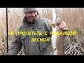 Не пролететь с рыбалкой весной в дельте Волги Астраханкой области