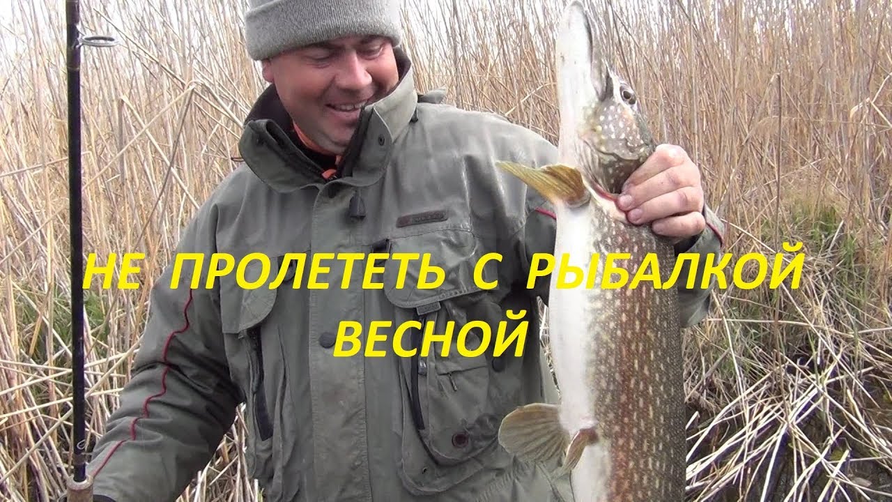 Не пролететь с рыбалкой весной в дельте Волги