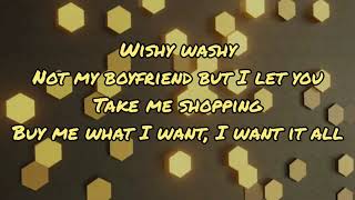 Wishy Washy - Coco & Clair Clair (Lyric Video)