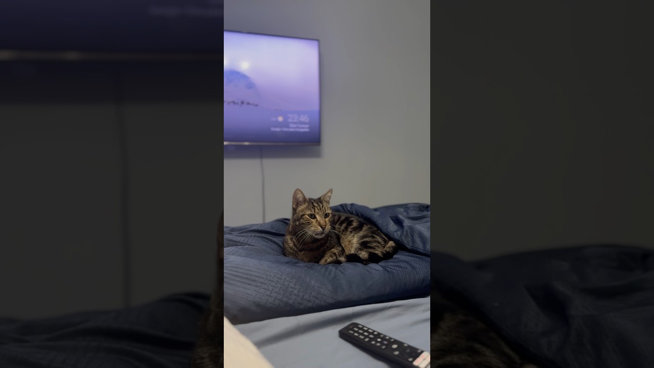 Hercules’ reaction to my wife and me