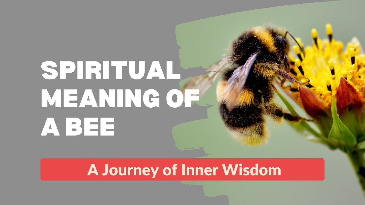 Spiritual meaning of a bee