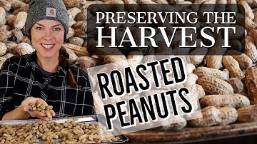 How to Brine and Roast Peanuts at Home