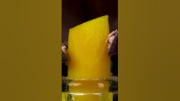 ASMR syringe marker pen cutting close up macro  #short #satisfying #closeup #asmrsounds #macro