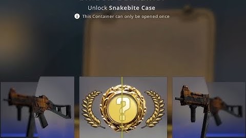 Snakebite Case CSGO Unboxing (Hand Wraps)