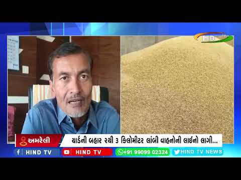 અમરેલી માર્કેટિંગ યાર્ડમાં ધાણાની રેકોર્ડબ્રેક આવક જોવા મળી...