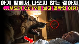 강아지가 아기 방에서 나오지 않는다… 부모가 CCTV를 확인한 후 경찰을 부르다!ㅣ노년의 지혜ㅣ인생조언ㅣ오디오북ㅣ 삶의 지혜