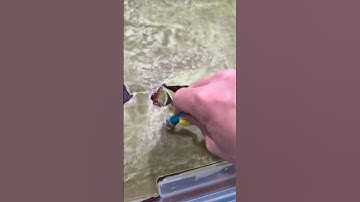 Slime Wax Layer ASMR!