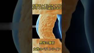 新型ひじ支え腹筋ローラー